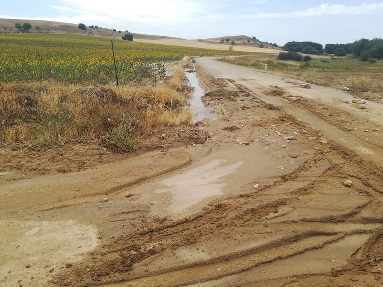 WhatsApp Image 2019 07 23 at 13.48.16