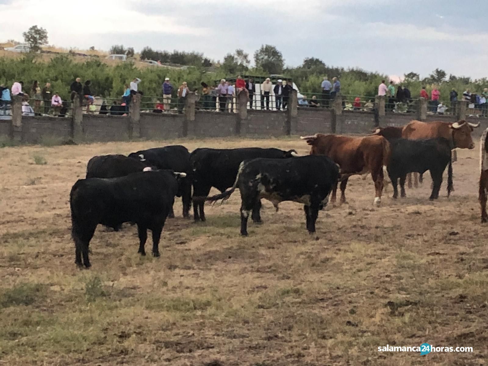 Aldeadávila 25 agosto 2019 (1)