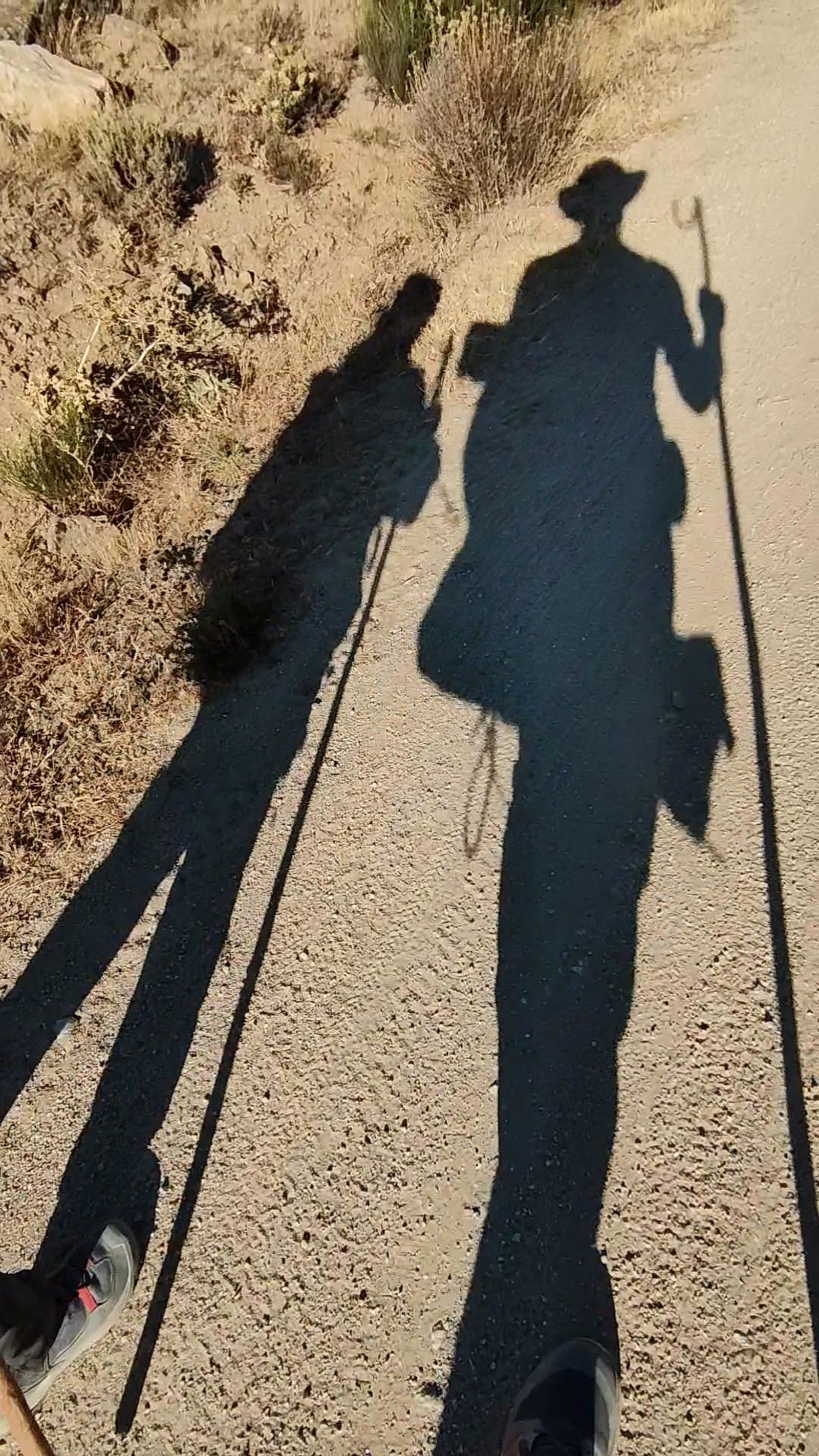 proyecto-camino-de-sayago-con-sergio-aguilar-y-su-hijo-7