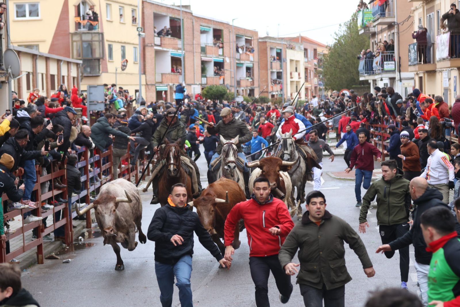 Encierro a Caballo en el Carnaval del Toro 2026 de Ciudad Rodrigo