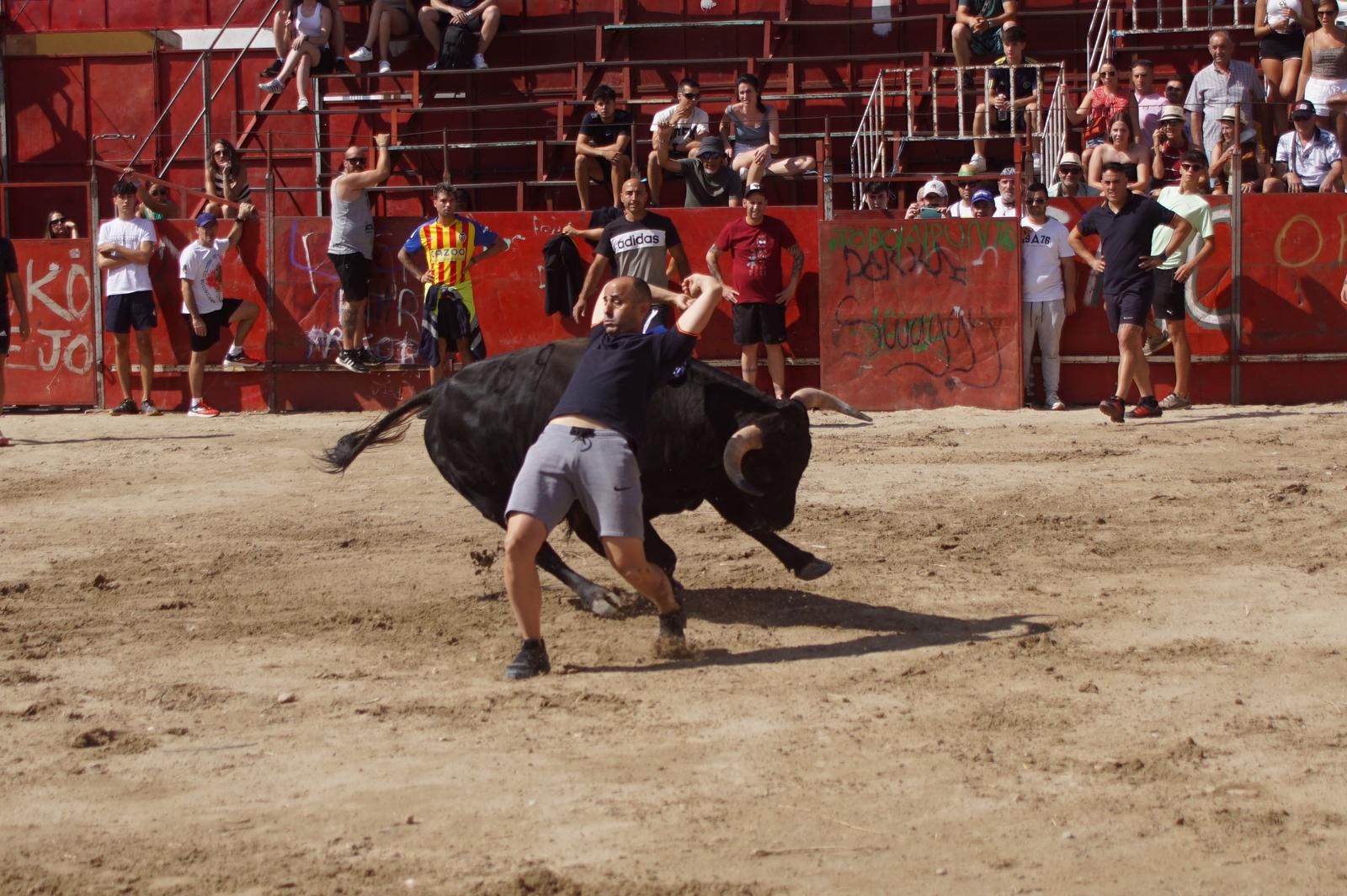 toro-de-cajon-de-castrillo-de-la-guarena-fotos-juanes-23