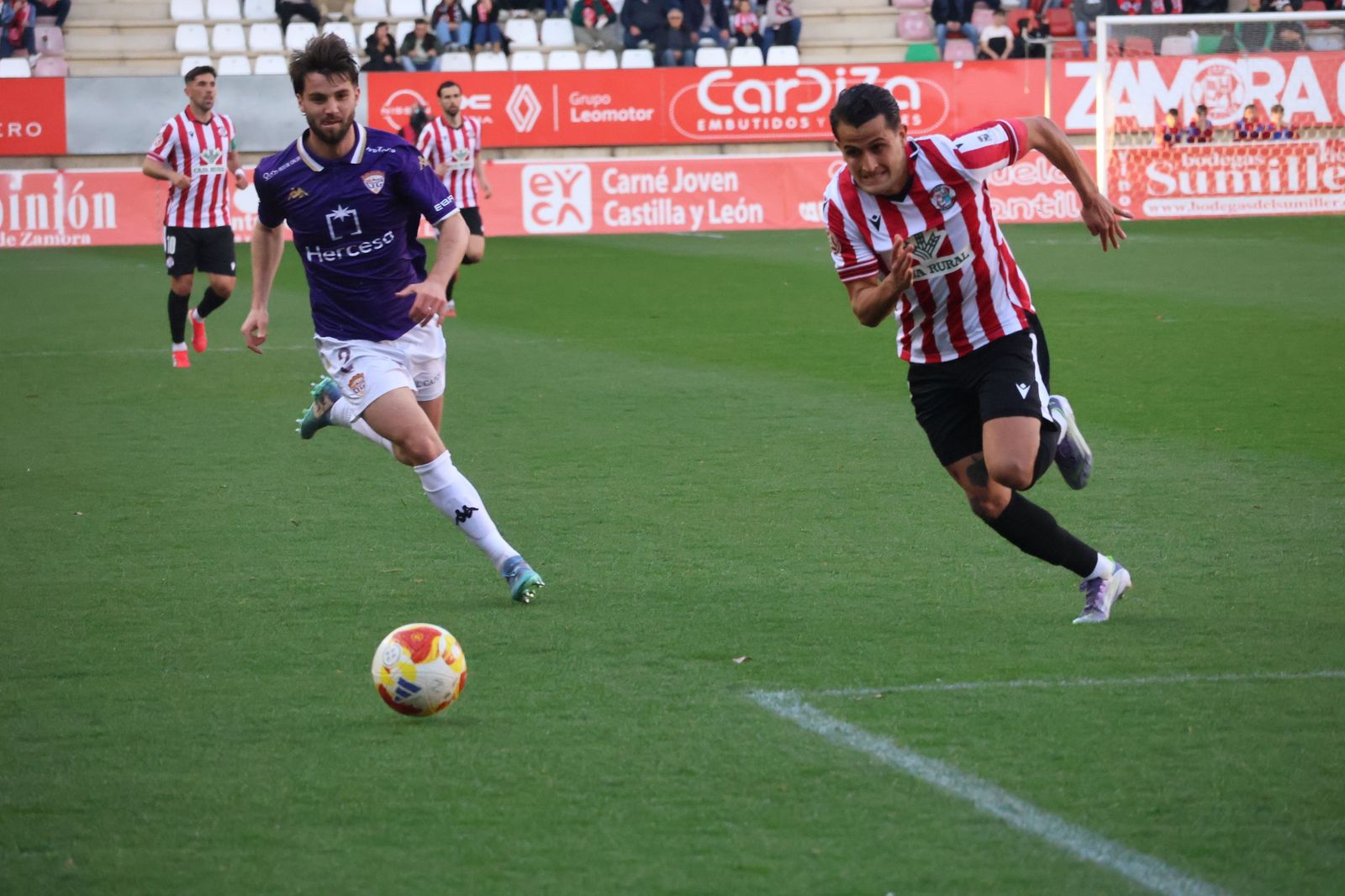 ZAmora CF - CD Guadalajara