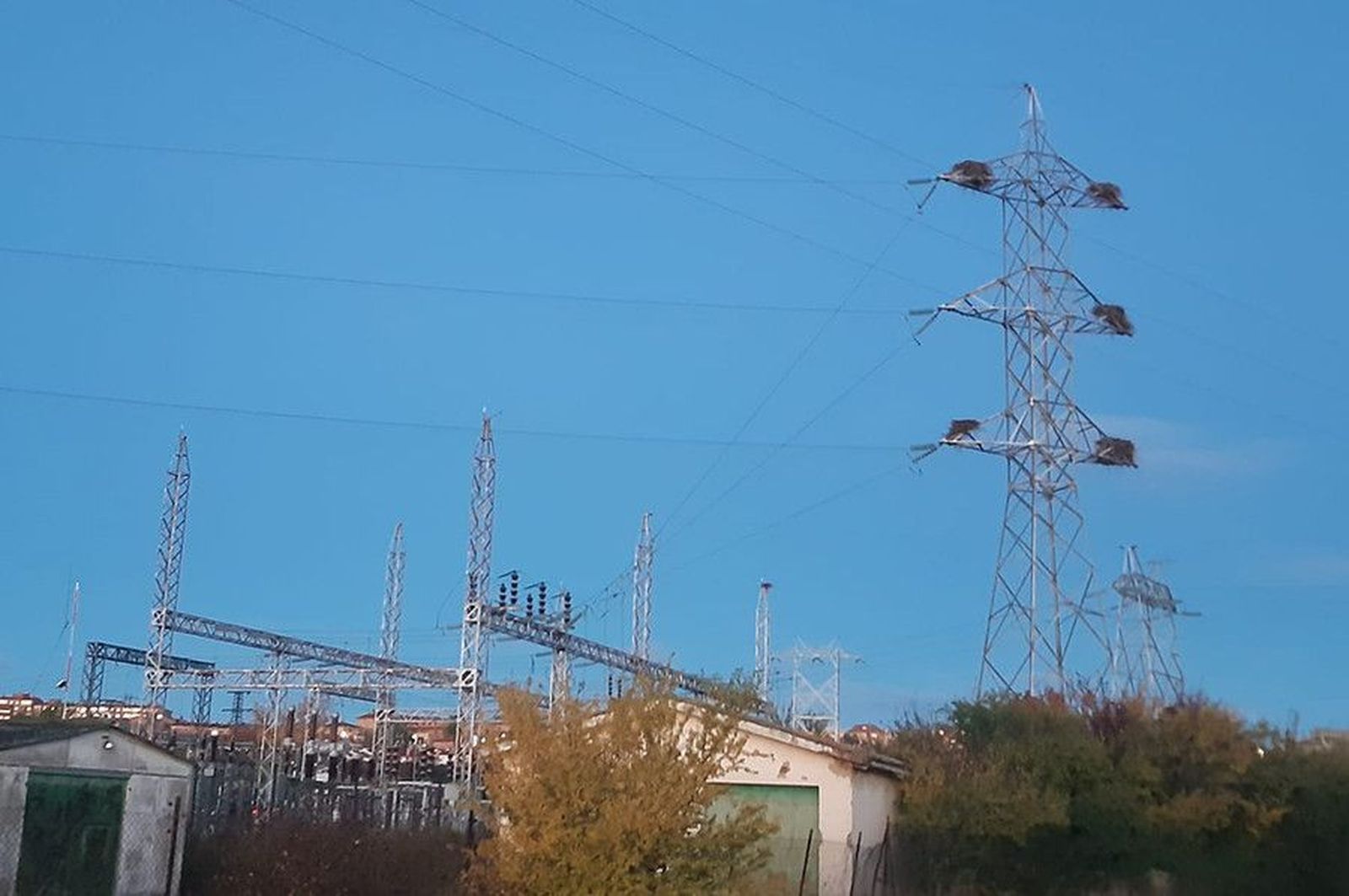 WhatsApp Image 2020 10 28 at 13.43.35