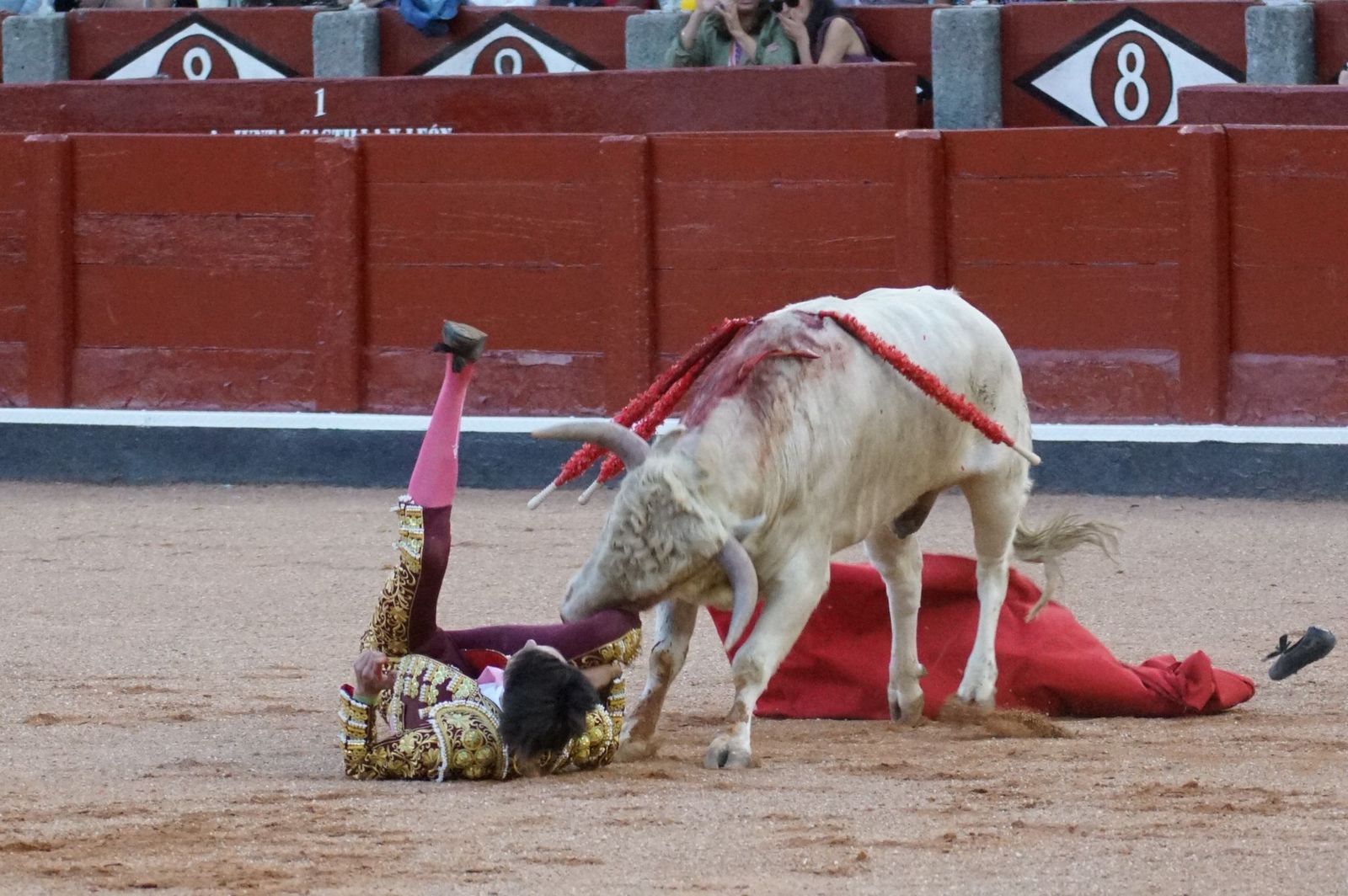 Clase práctica con alumnos de la Escuela de Tauromaquia de Salamanca (Diego Mateos, Noel García y Álvaro Rojo con erales de Esteban Isidro)