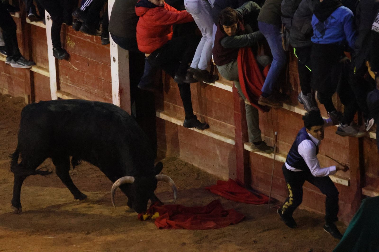 Capea y desencierro de domingo tarde en el Carnaval del Toro 2026