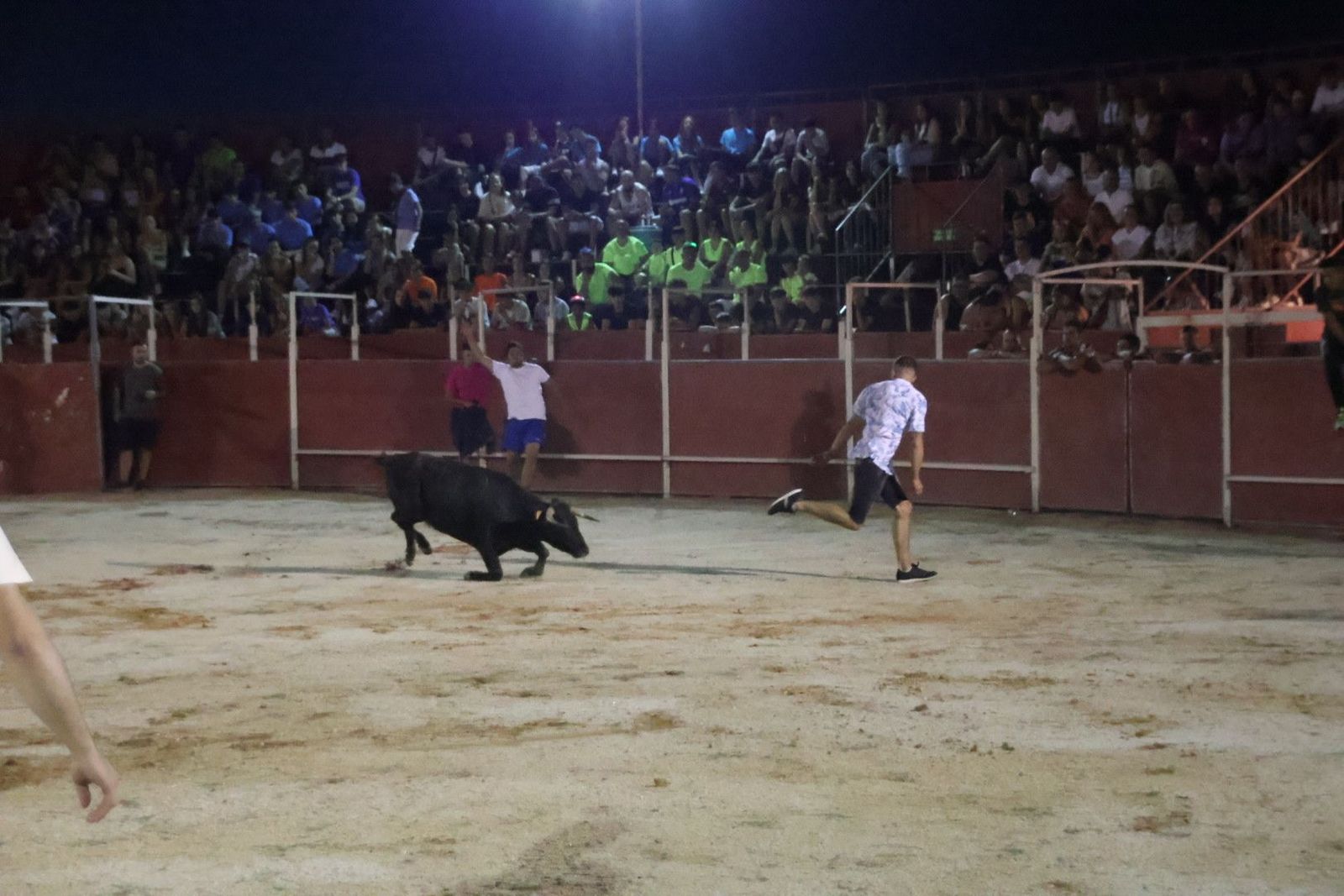 20230812211828-img-1217