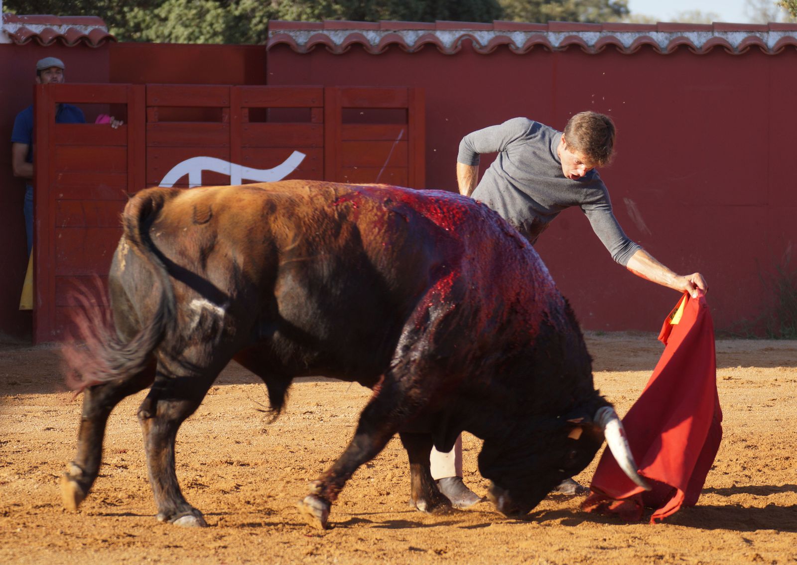 juan-leal-torero-9