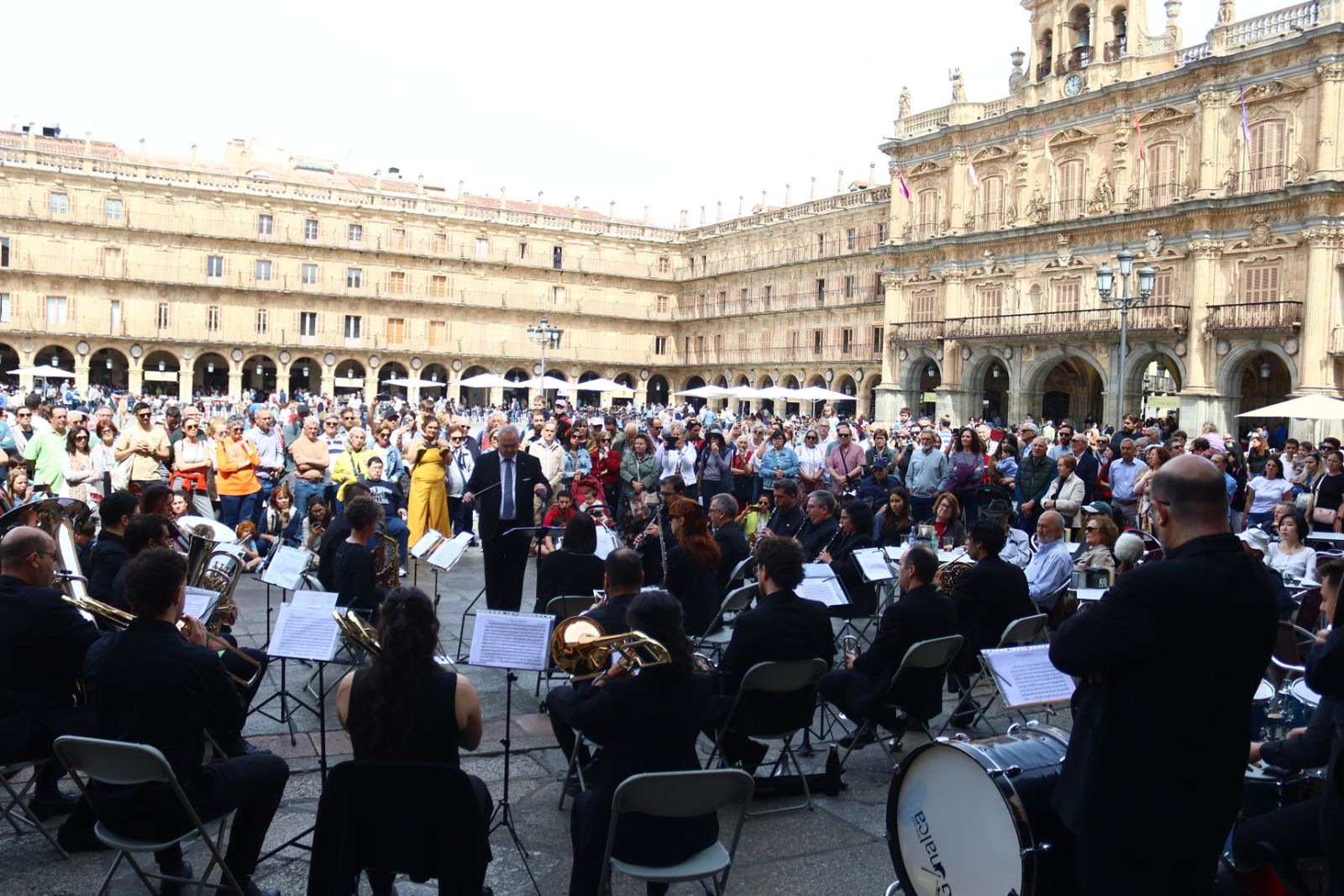 Día del Libro en la Plaza Mayor de Salamanca