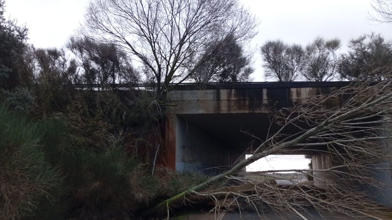 La aleta del paso bajo la A 52 se desprende por completo
