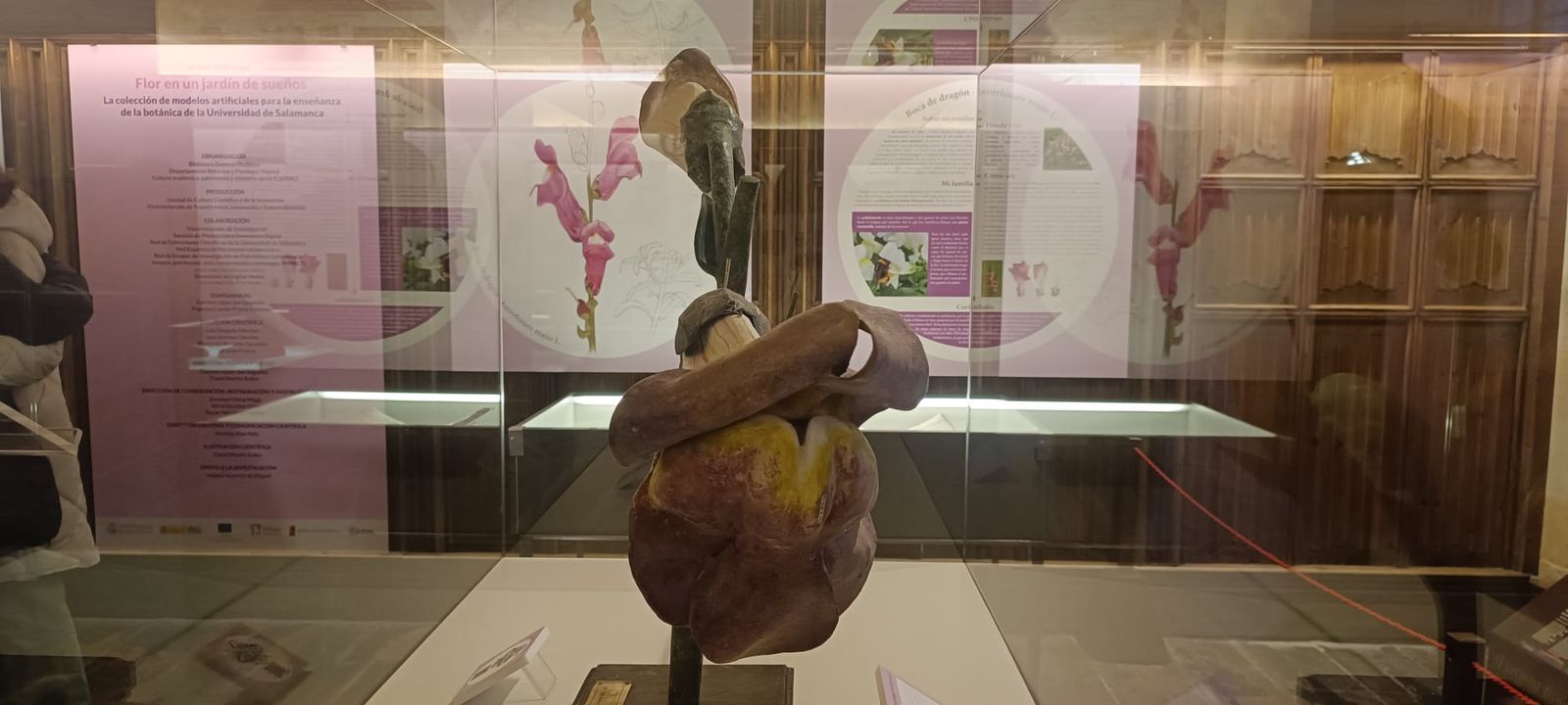 exposicion-botanica-14