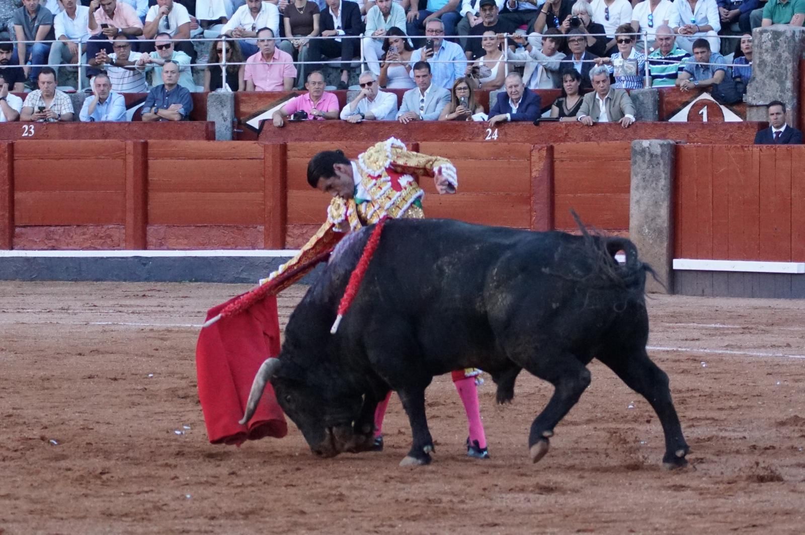 Emilio de Justo, Juan Ortega y Roca Rey inauguran el cartel de figuras en la feria de Salamanca: la corrida de Garcigrande en imágenes