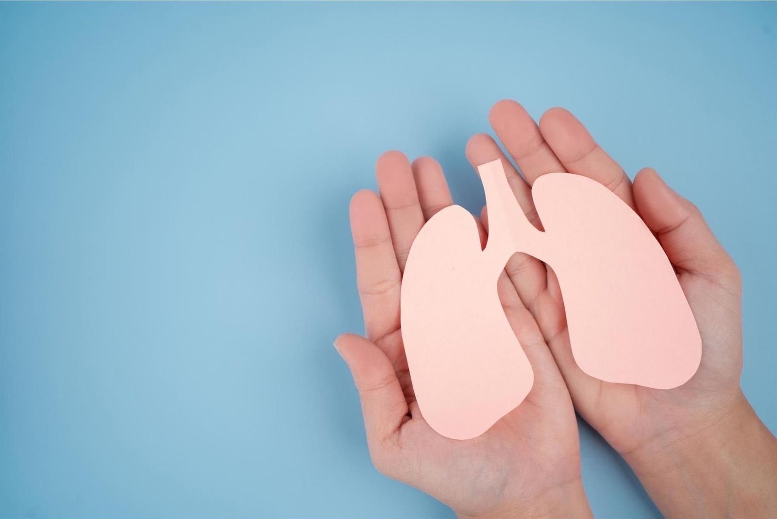 Archivo - Pulmones - AGENCIA RAIZ - Archivo