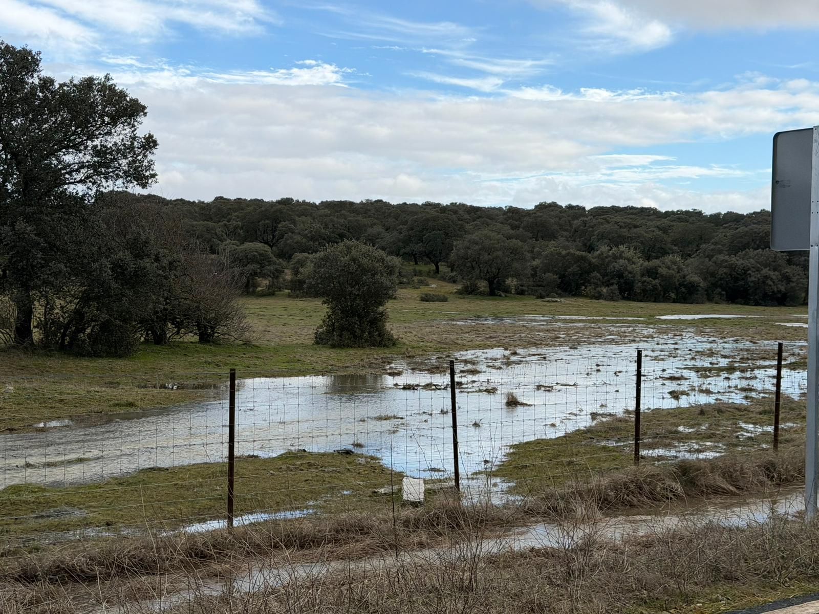 El campo anegado de agua en la zona del Campo Charro