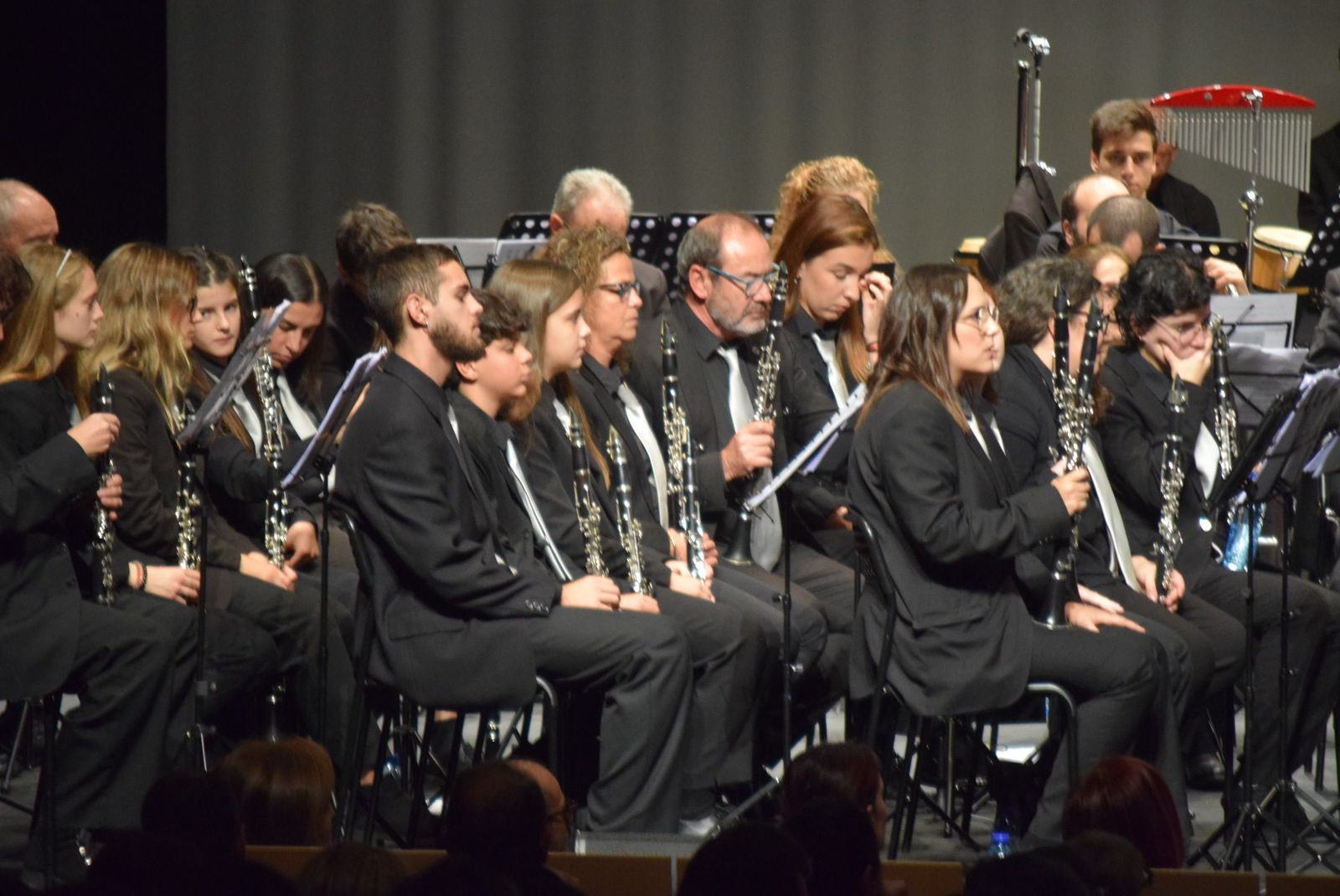 concierto-de-santa-cecilia-en-el-ramos-carrion-3