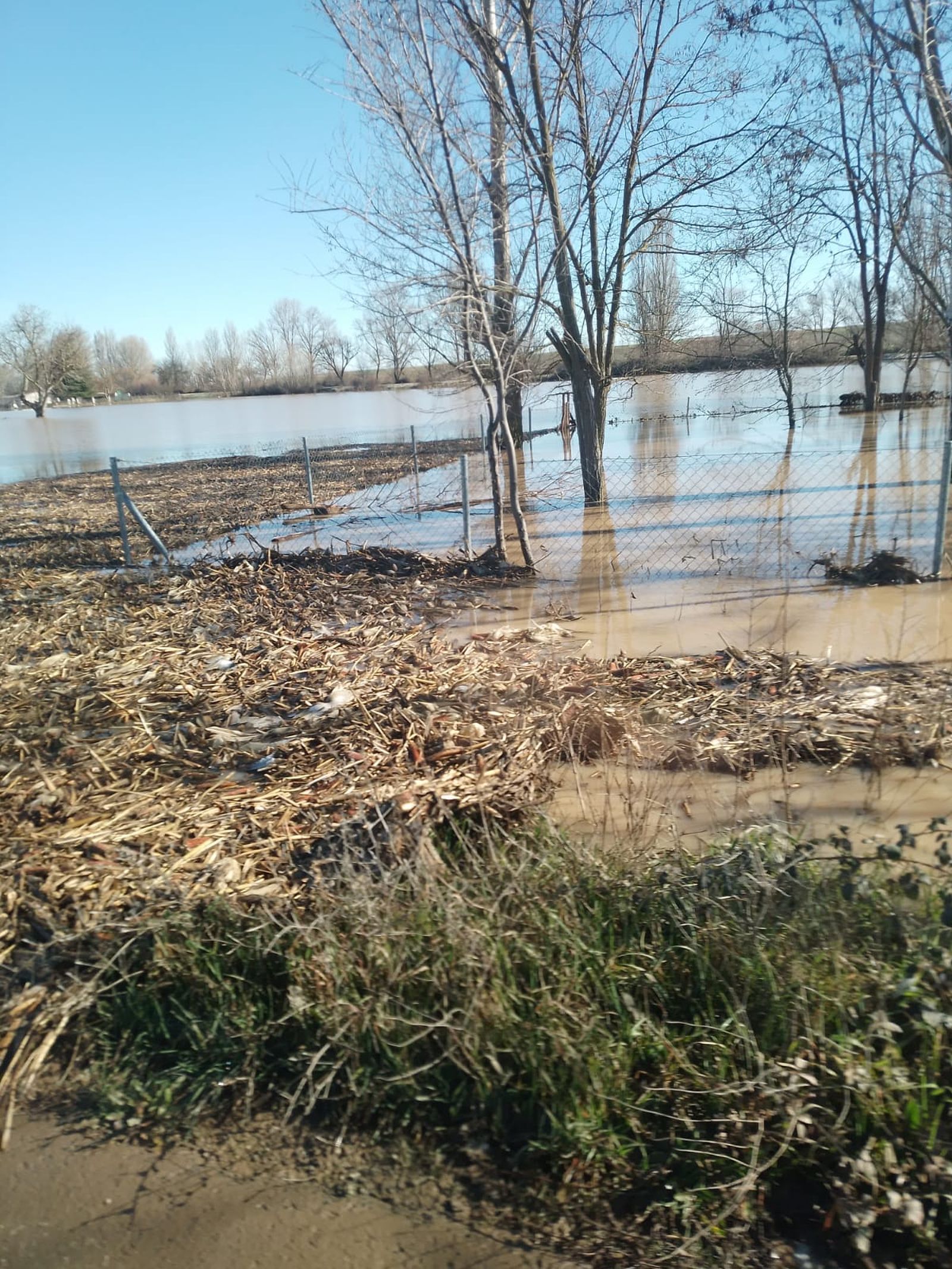 whatsapp-image-2024-01-20-at-13-51-06-1