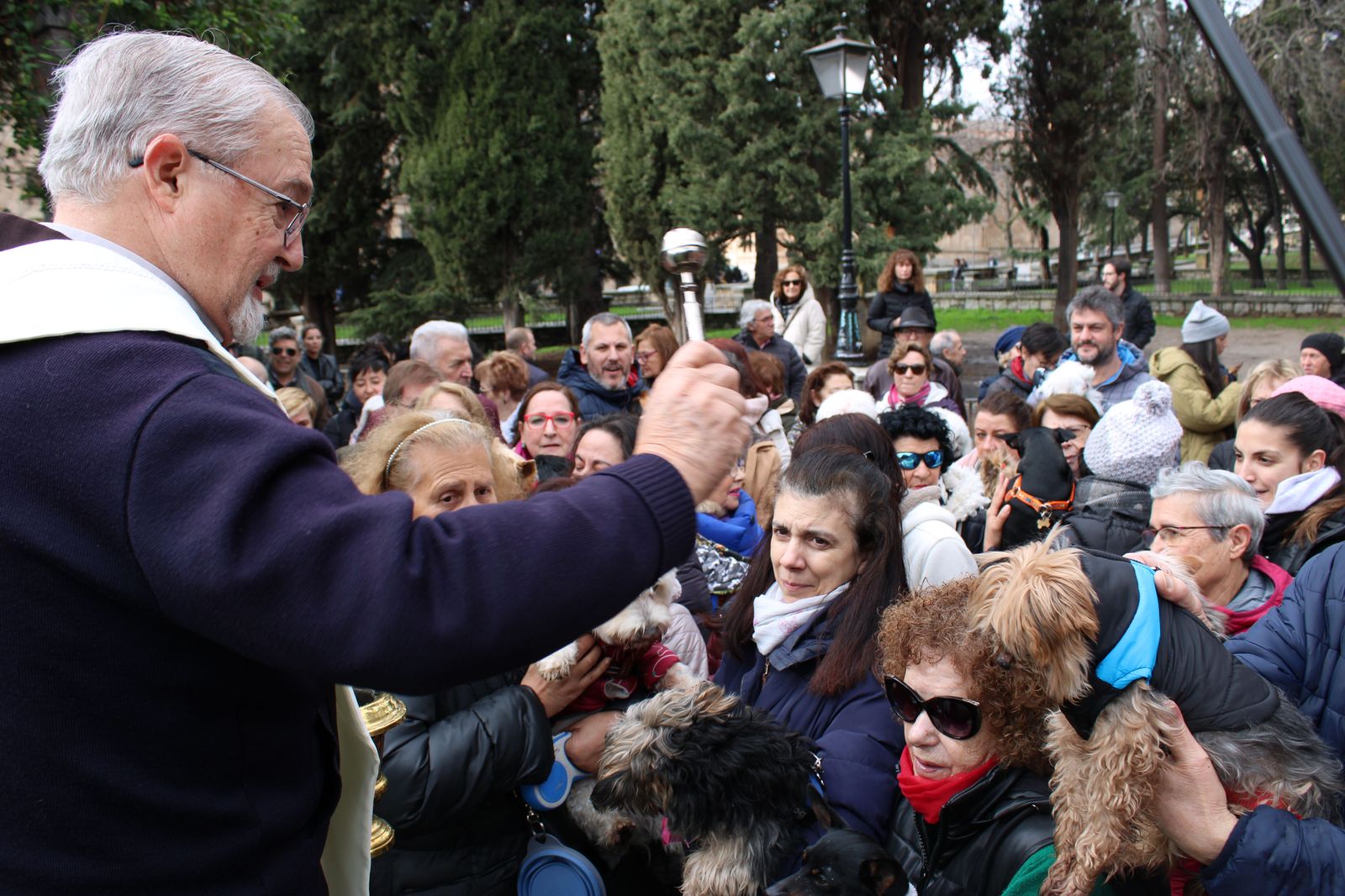 san-anton-bendicion-de-animales-2024-foto-s24h-65