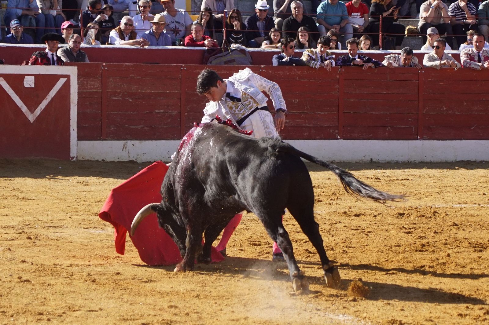 novillada-con-picadores-en-villoria-35