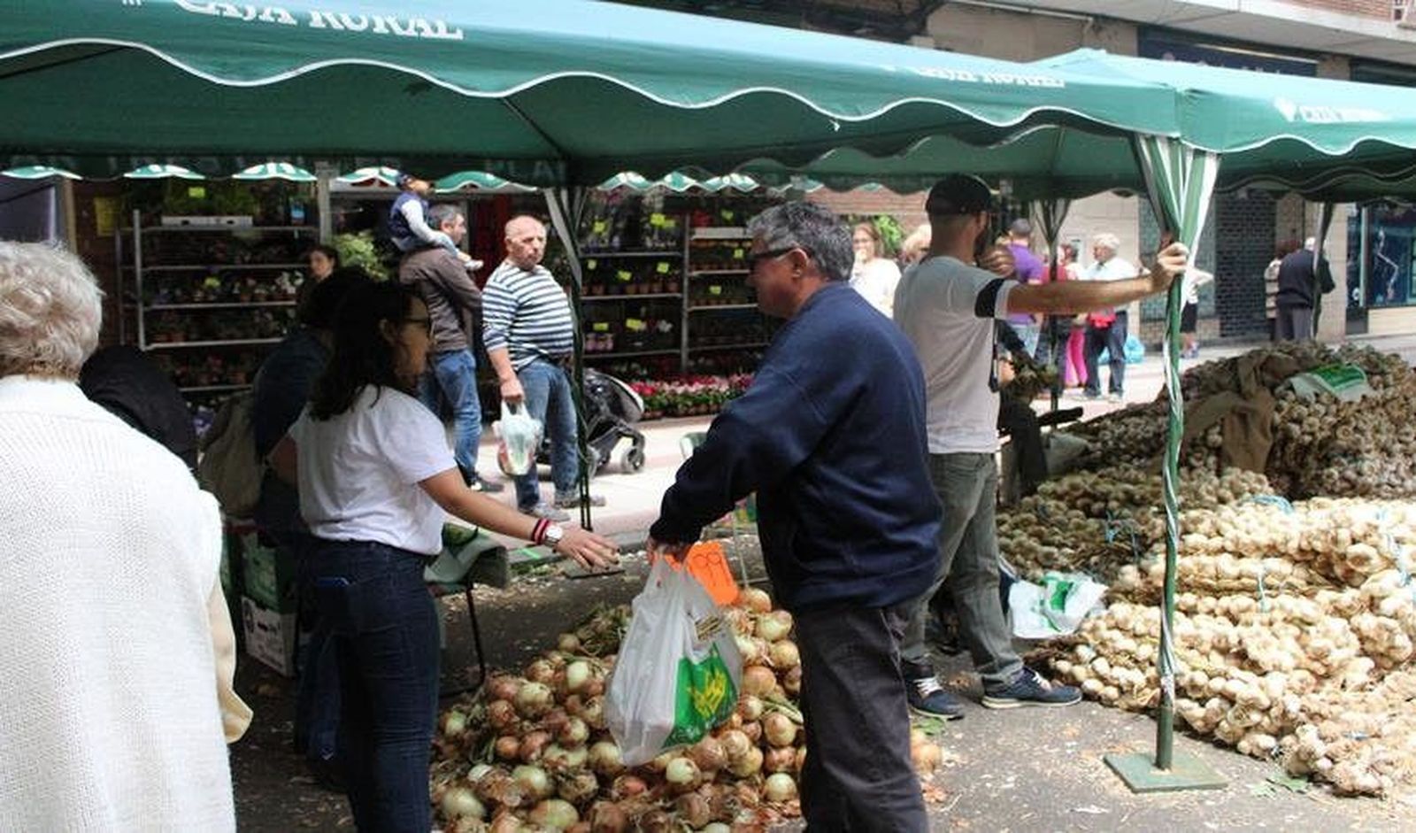 Inauguración Feria del Ajo San Pedro 2017