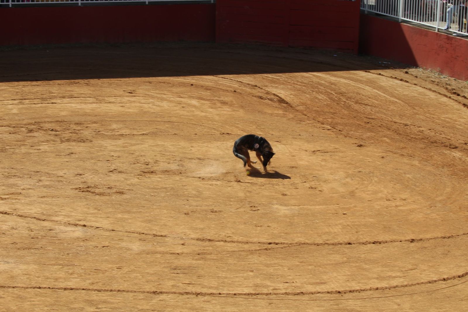 20230905122917-img-7961