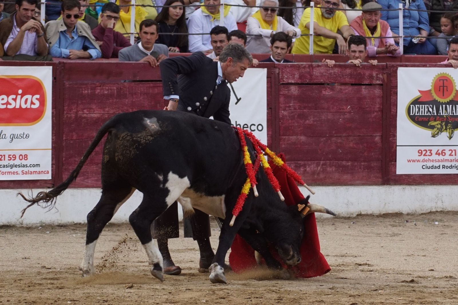 whatsapp-image-2024-10-05-at-19-57-41