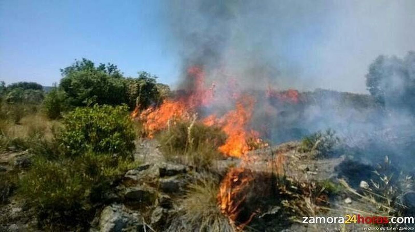 Controlado el incendio de San Román de los Infantes, en el que han ardido 80 hectáreas de arbolado y monte bajo