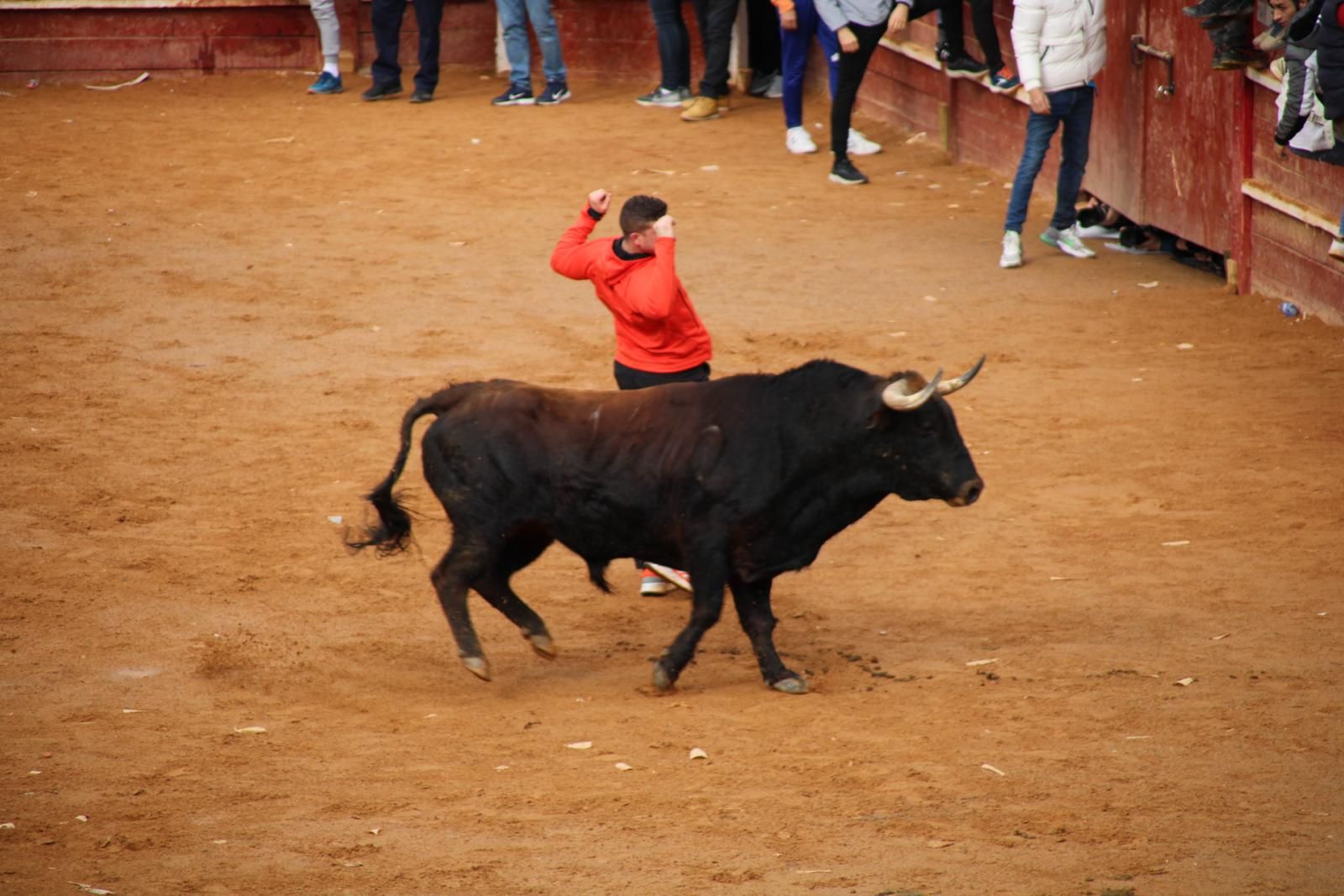 capea-matutina-del-martes-de-carnaval-3