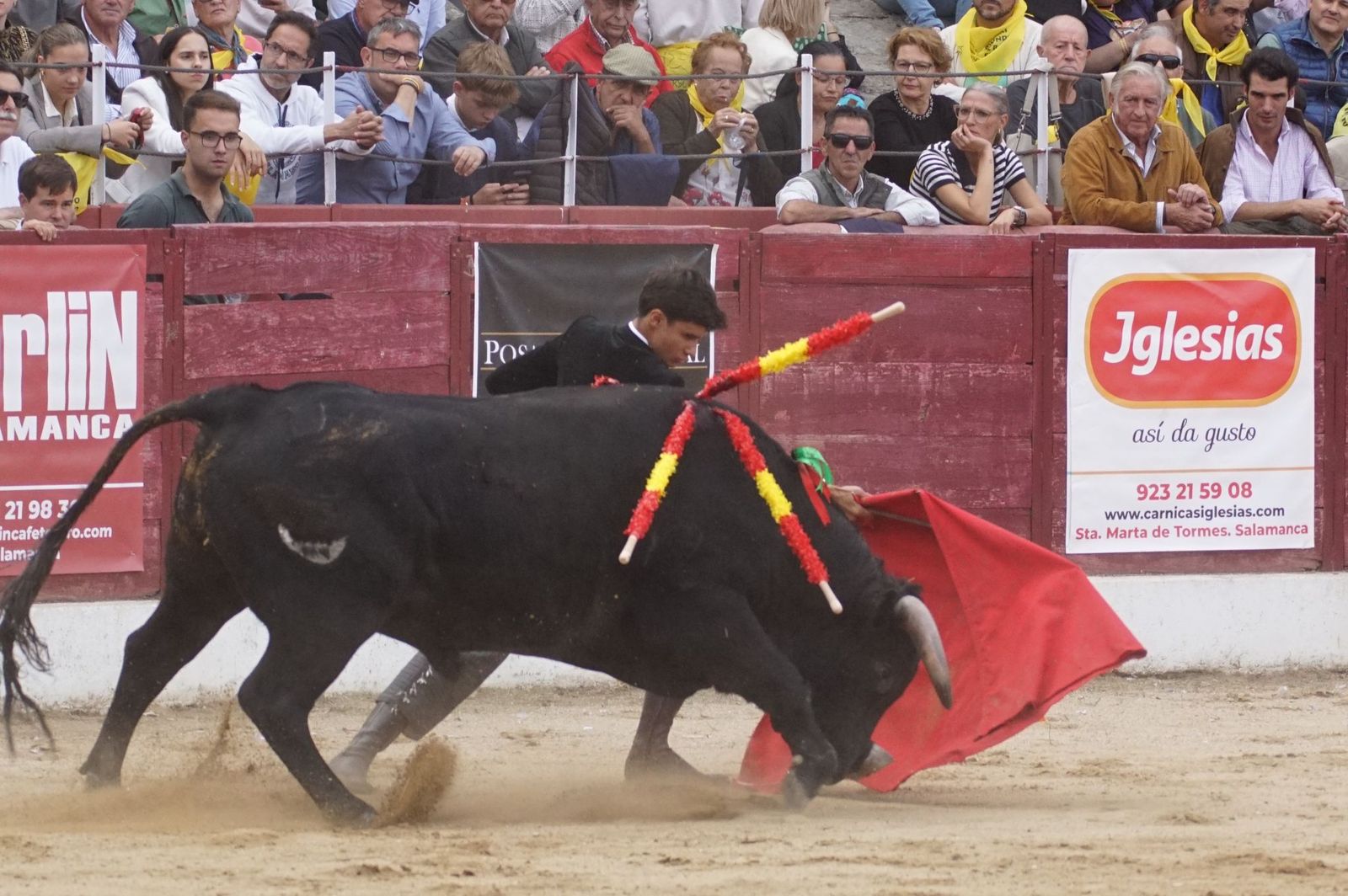 whatsapp-image-2024-10-05-at-19-56-48