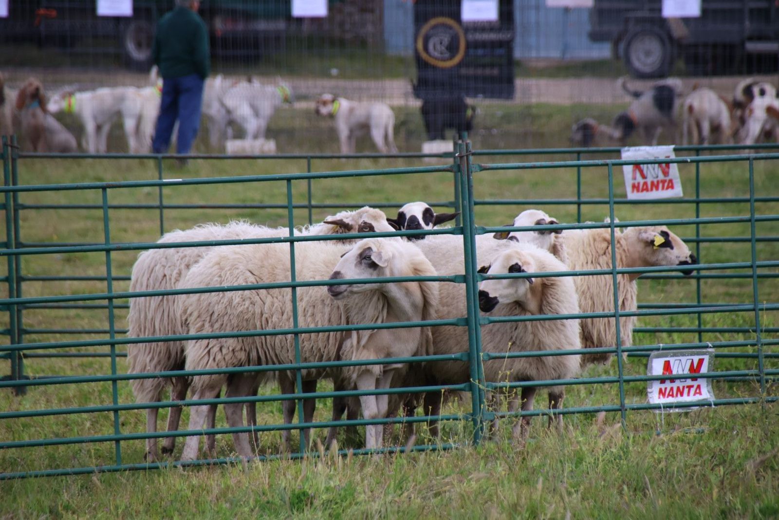 20240501102357-img-2876