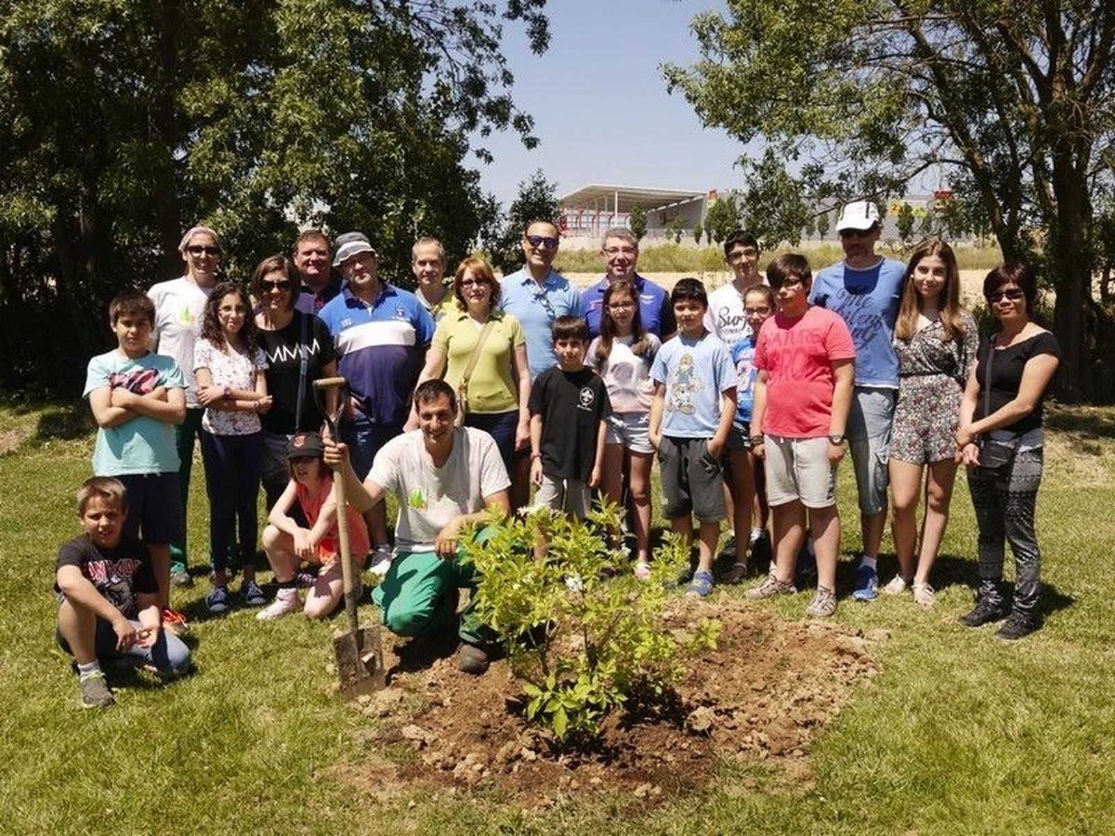 Los vecinos conocen las 150 especies de árboles del Parque Botánico