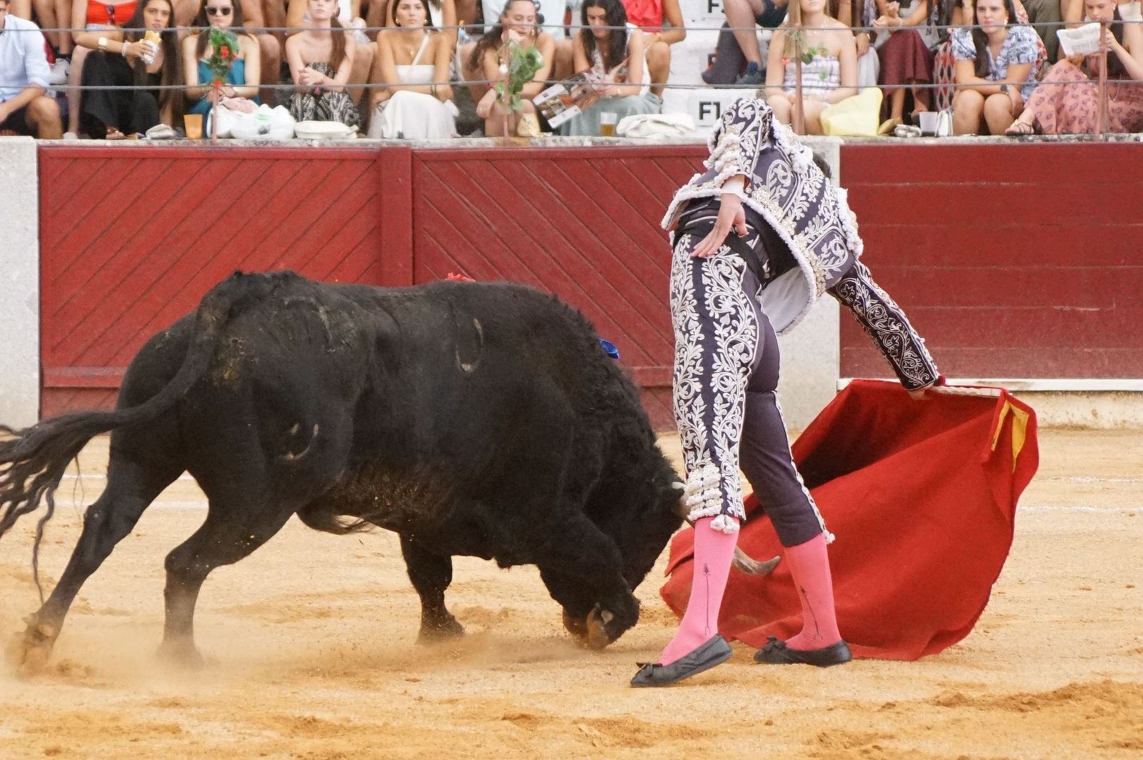 Javier Castaño se despide de Guijuelo y Damián Castaño, su hermano, e Ismael Martín salen a hombros en Guijuelo