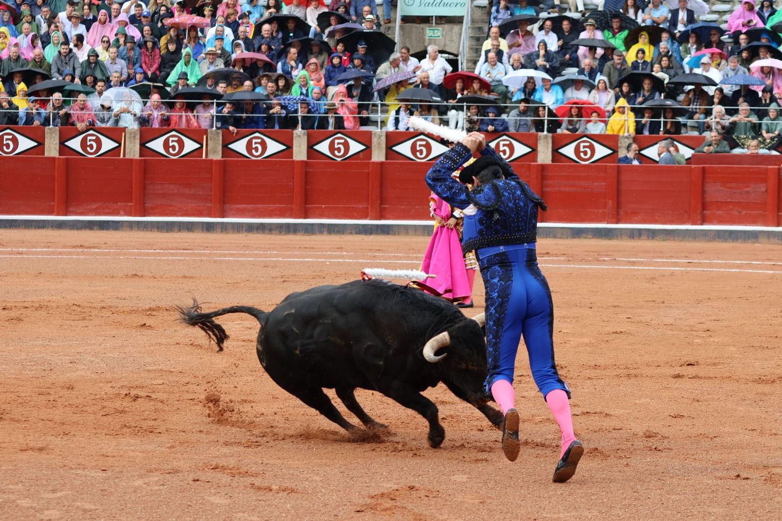 20230916171436-img-5185