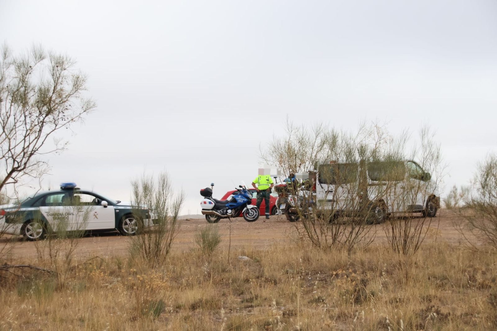 Una vaca se escapa de un matadero en Florida de Liébana