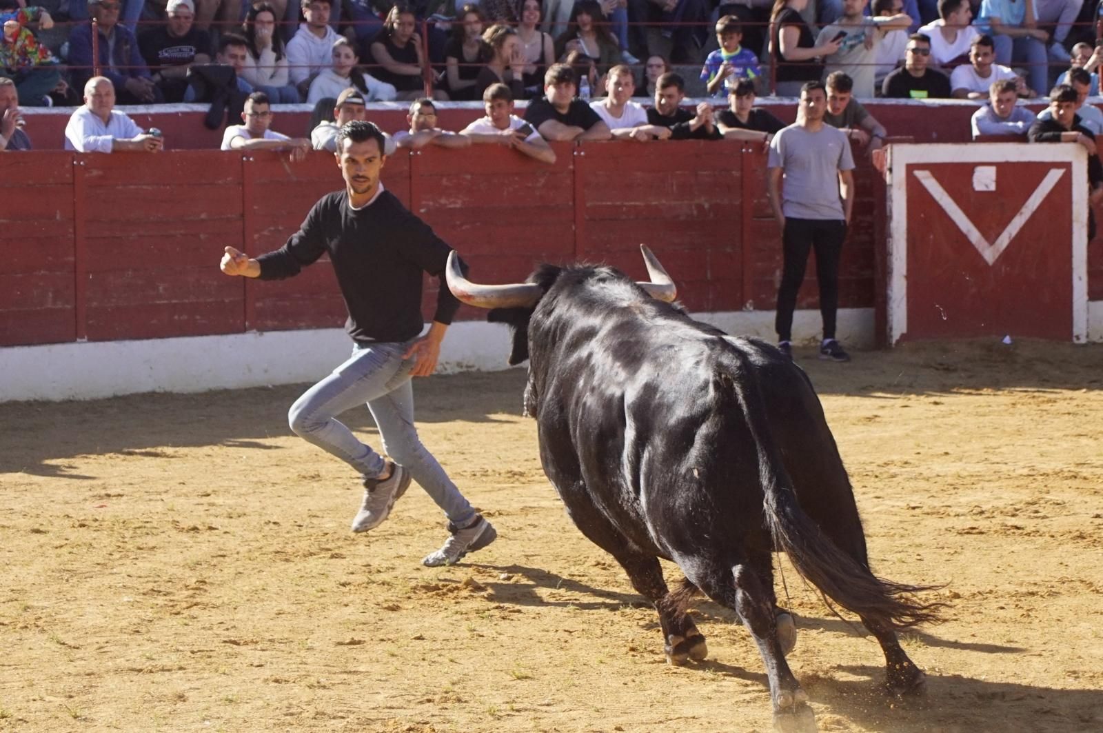 whatsapp-image-2025-04-26-at-19-02-19-1