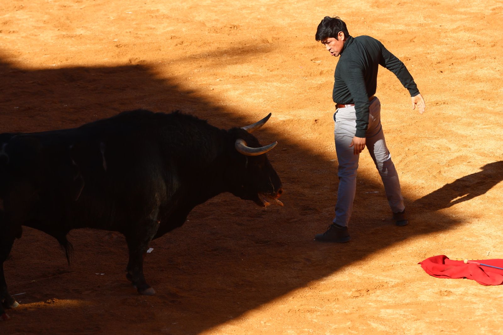 Capea de mañana en el martes del Carnaval del Toro de Ciudad Rodrigo