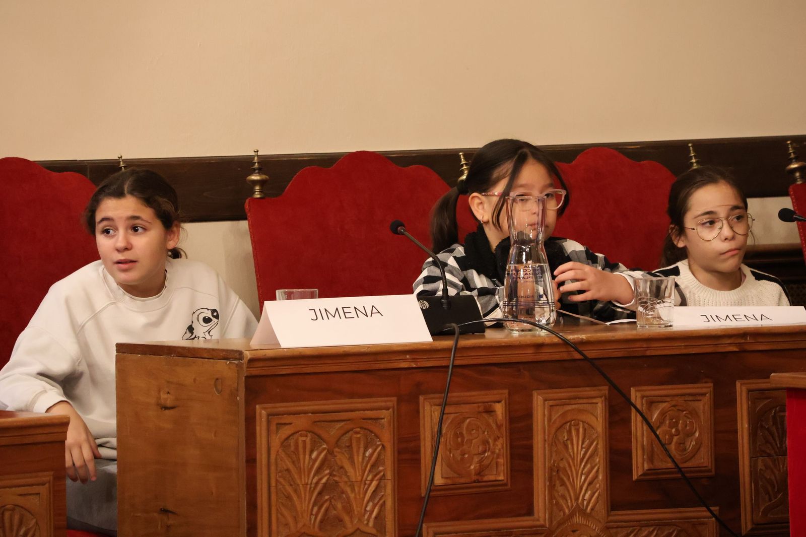 Pleno de la Infancia y la Adolescencia en el Ayuntamiento de Zamora (4).JPG