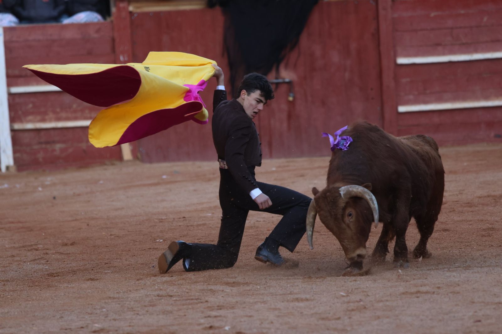 Festival taurino del Sábado en el Carnaval del Toro 2026 de Ciudad Rodrigo