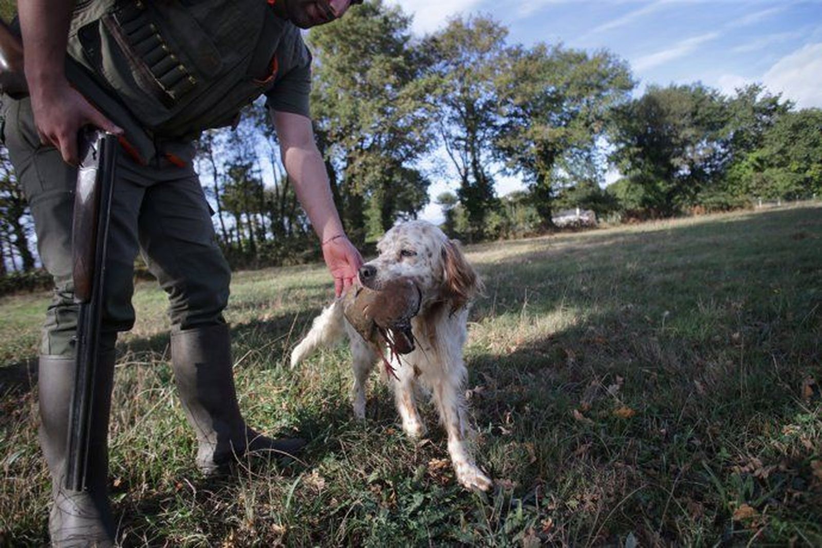 Caza de perdiz. Foto EP