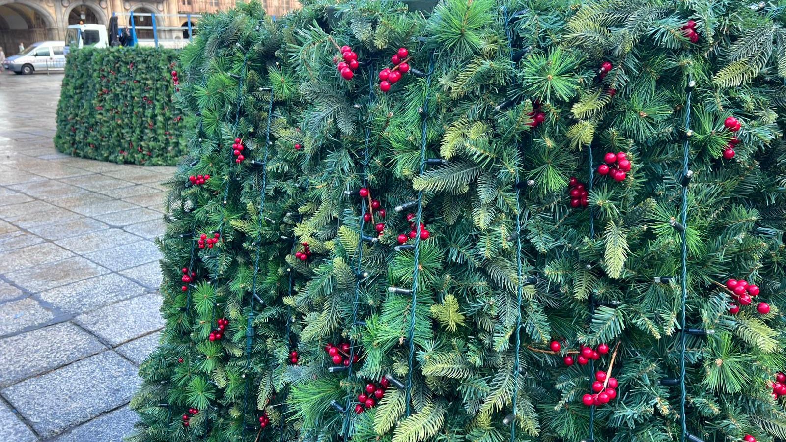 Montaje del árbol de 23 metros en la Plaza Mayor de Salamanca por Navidad