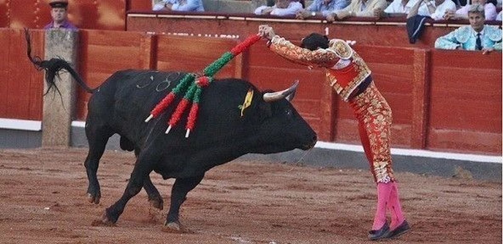 La Junta aprueba crear la Mesa de la Tauromaquia de Castilla y León