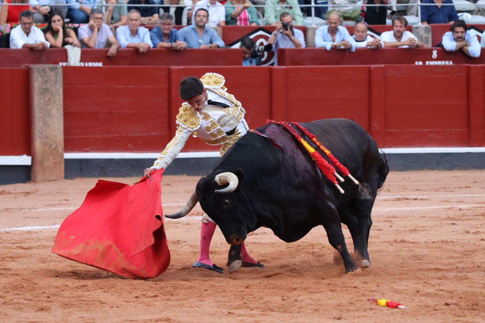 20230910192322-img-2310