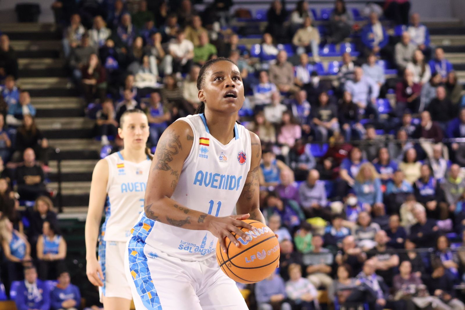 Perfumerías Avenida - Baxi Ferrol