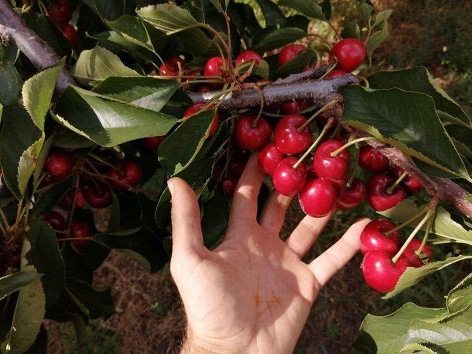 Fotonoticia 20200702112839 1920