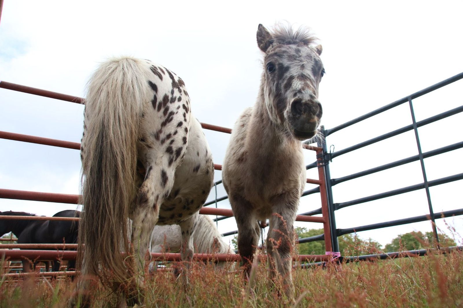 20240501103019-img-2902