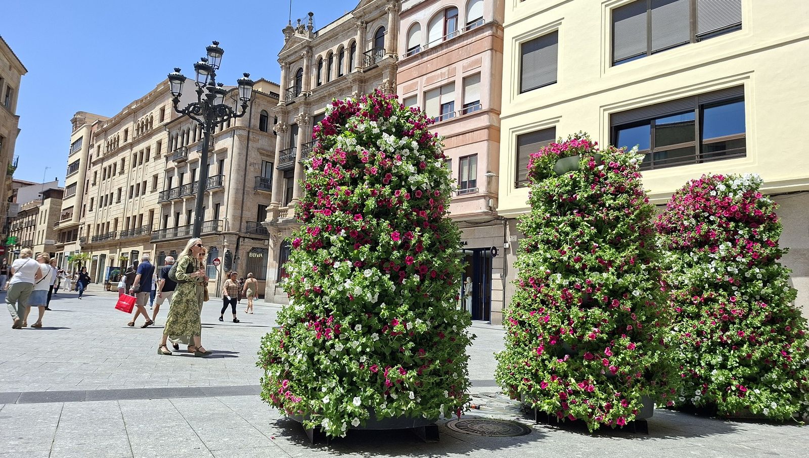 Torres florales en la plaza del Liceo