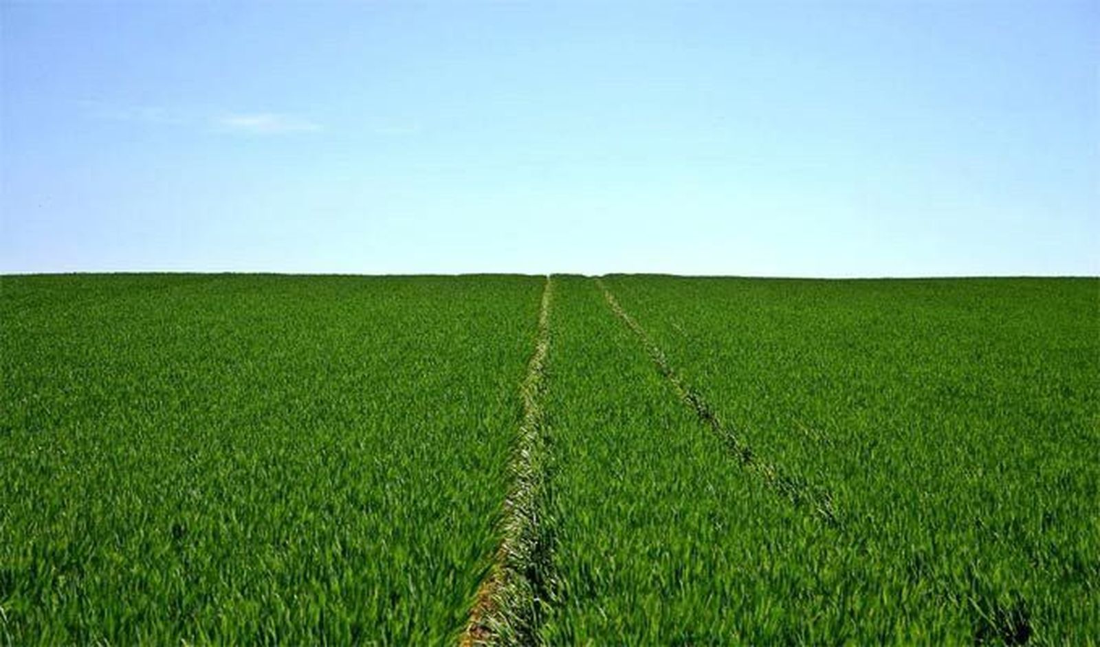 Aprobado el plan de mejora territorial y obras de la concentración parcelaria de Sarracín de Aliste