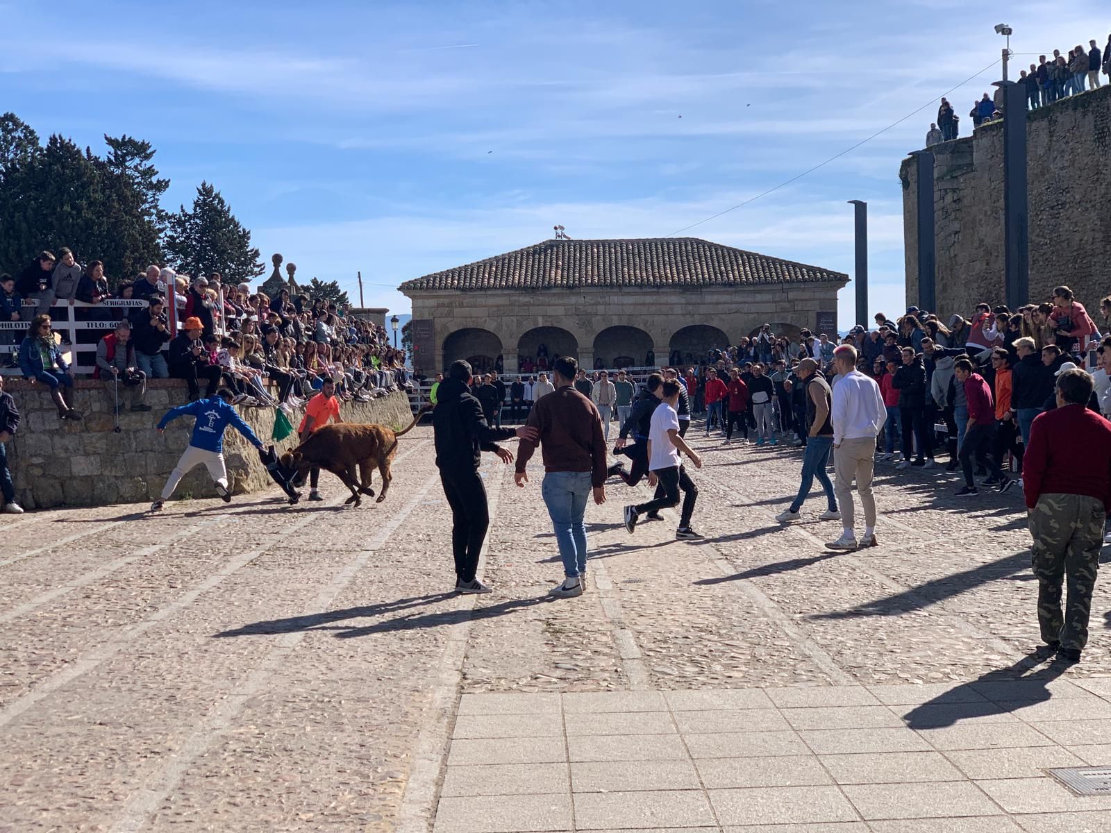 ambiente-con-la-suelta-de-vaquillas-en-el-domingo-de-pinata-en-ciudad-rodrigo-2