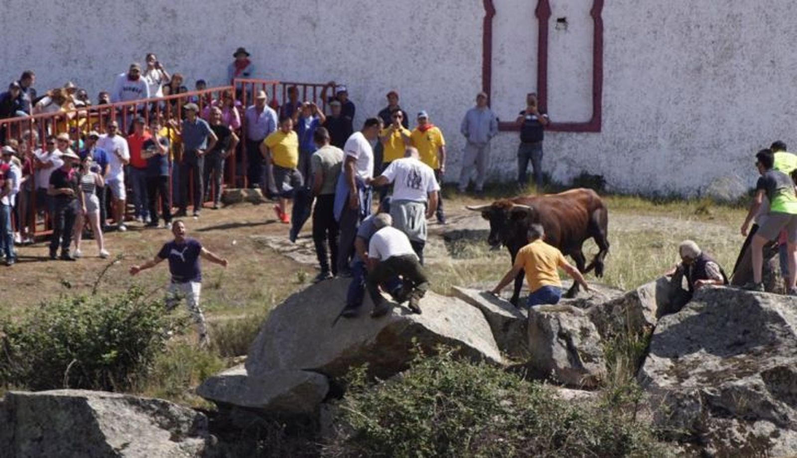 WhatsApp Image 2023 06 11 at 12.41.32 (1)