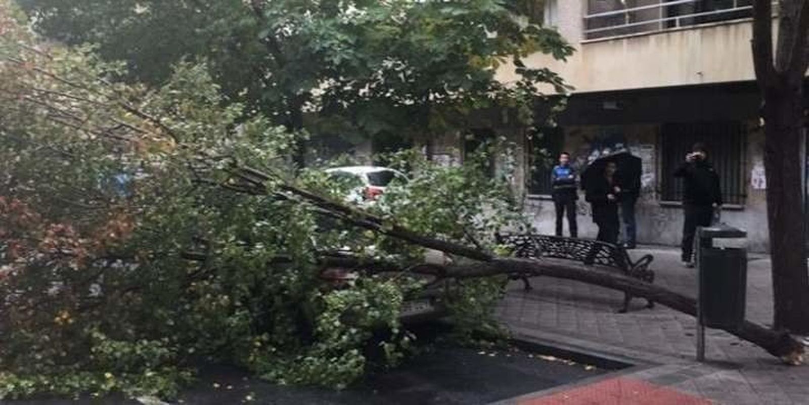 Alerta por vientos de hasta 80 kilómetros por hora en Salamanca