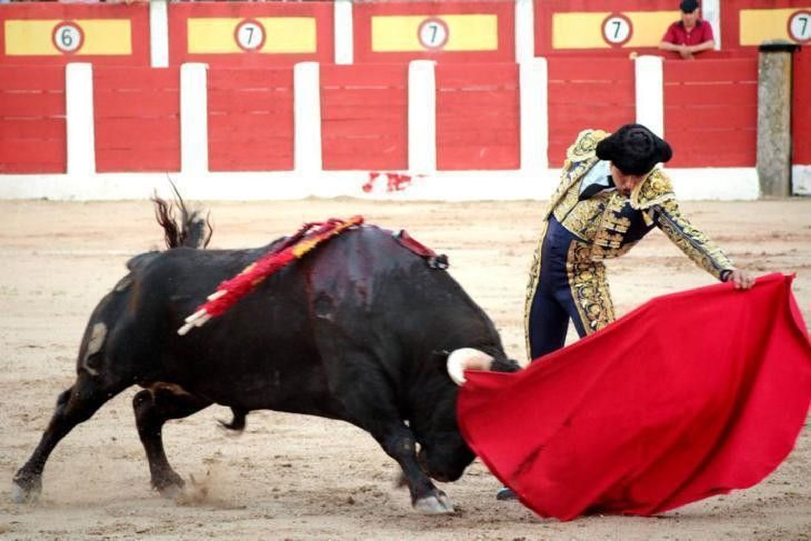 Javier Castaño, mejor torero y lidiador en Talavera