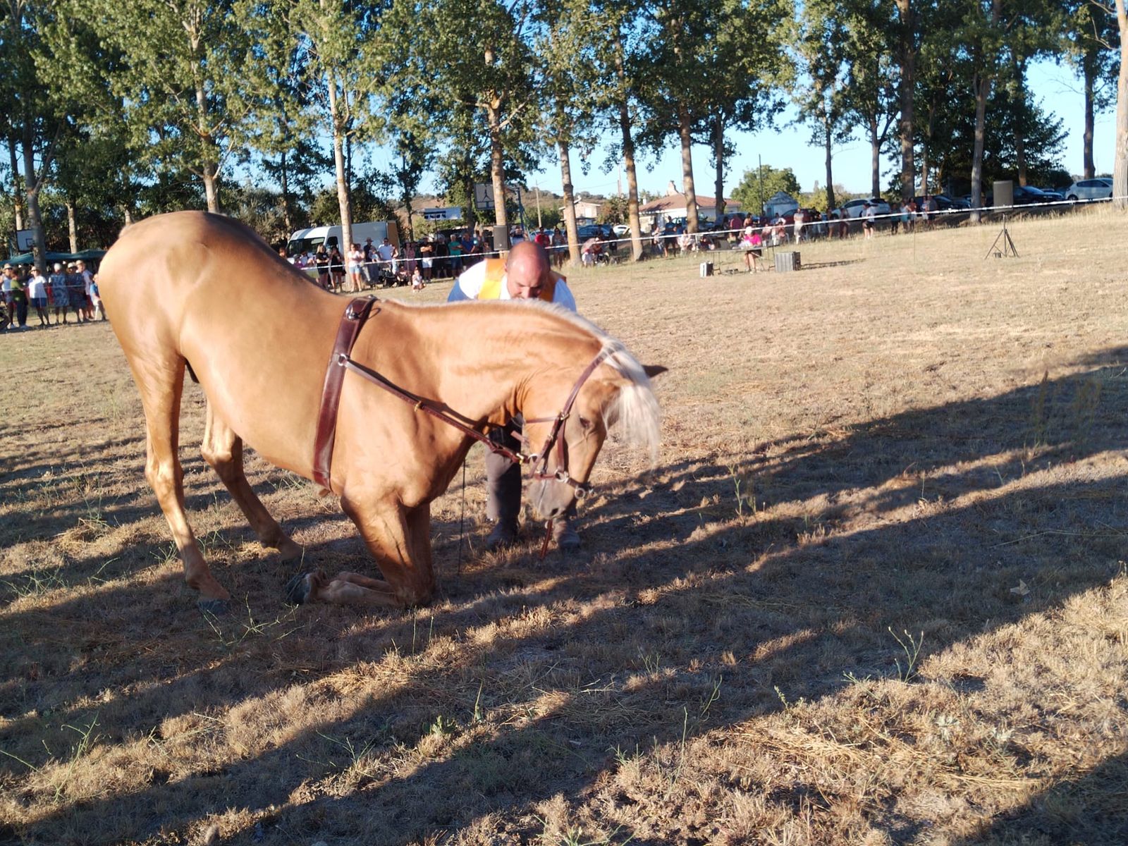 exhibicion-ecuestre-en-san-pedro-de-zamudia-10